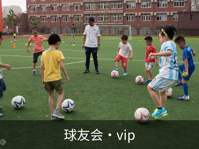 走进球友会·vip